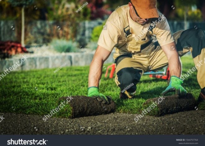 How to Start a Landscaping Business: 8 Easy Steps