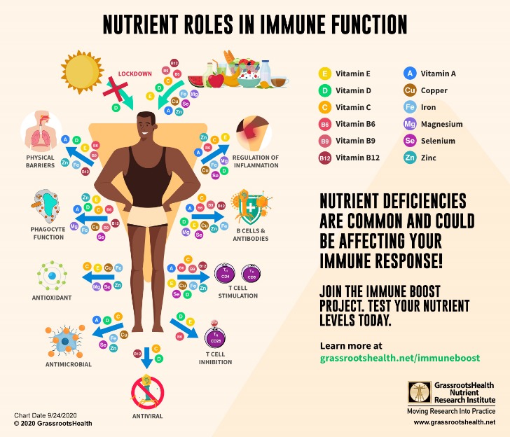 Immunology Overview: How does our immune system protect us?